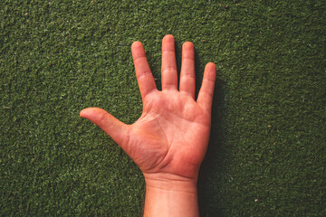 top view of a hand palm over green grass