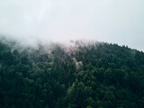 Fototapeta Na ścianę - Fichtenwald von oben in Wolken gehüllt