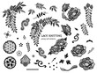 牡丹と藤と蝶のレースの刺繍素材セット_和風イラスト