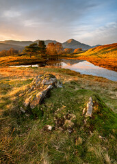 Beautiful Autumn colours with evening sunlight at Kelly Hall Tarn in the Lake District, UK.