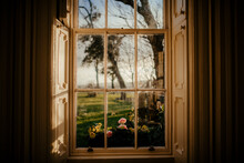 House Window With Garden Behind