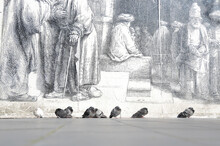 Pigeons In Front Of Wall With Rembrandt Etching