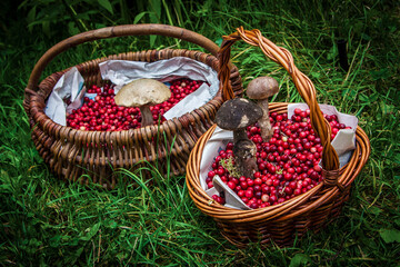 Two large baskets of cranberries and mushrooms.