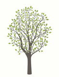 Fototapeta Panele - Drawing of a tree with leaves on a light background