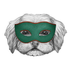 Wall Mural - Portrait of Havanese Dog with a carnival mask. Hand-drawn illustration.