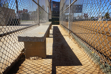 Wall Mural - Baseball dugout with bench