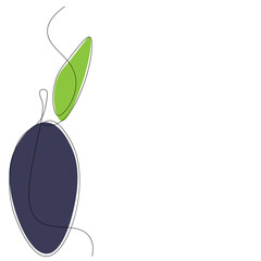 Sticker - Plum fruit on white background. Vector illustration