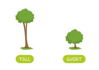 tall and short antonyms word card vector template. flashcard for english language learning. opposite