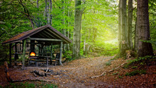 Tourist Shelter Hidden In Beech Woods. Fireplace Under Roof Shelter In Forest Mysterious Area.