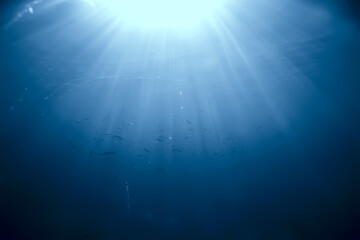 rays of light under water, abstract marine background nature landscape rays blurred