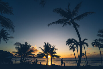 Silhouette of palm trees at beautiful sunset. 