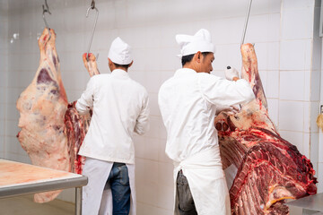 Two butcher cut raw meats hanging in the cold store. Cattles cut and hanged on hook in a slaughterhouse, Wagyu Beef, Meat industry, .