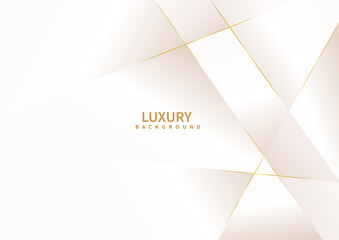 Wall Mural - abstract white background with golden line luxury.