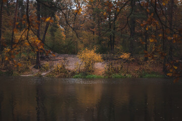  autumn trees reflected in water