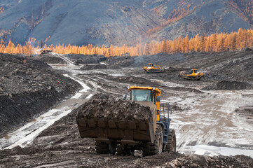 Wall Mural - Bulldozers and wheel loaders at work. Mining.
Bulldozers cut the topsoil in mountainous forested areas and wheel loaders transport the soil