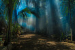 © Jacek - amazing morning light in jungle garden