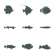 set of fish icon collection