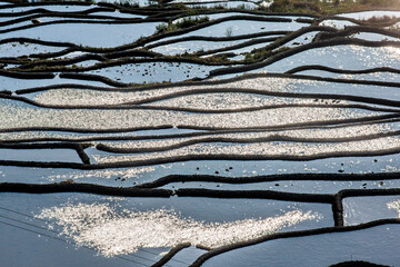 Wall Mural - Rice terraces in Yuanyang County. Yunnan Province. China.