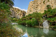Preveli gorge, palm forest along river Megalopotamos and canyon - Preveli, Crete, Greece 