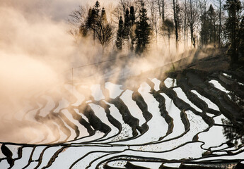 Wall Mural - Rice terraces of Yunnan province amid the scenic morning fog. Yuanyang County. China.