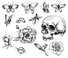 Vintage Goth Skull Design Element Set With Butterdlies And Flowers