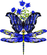Butterfly And Dragonfly Black Blue Vector Illustration
