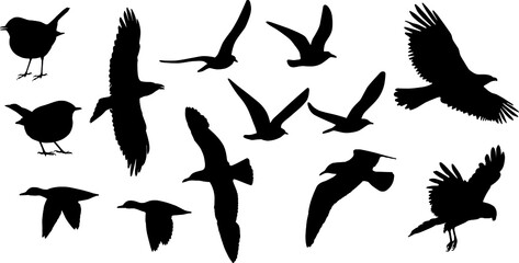 Sticker - silhouette of birds on flight, vector on white background