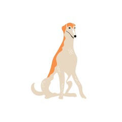 Wall Mural - Vector cute borzoi. Dog breeds. Doodle illustration isolated on white background