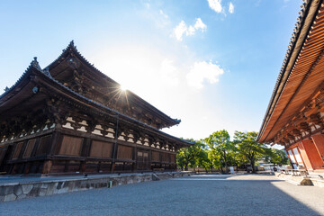 Wall Mural - 東寺　金堂