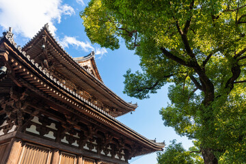 Wall Mural - 東寺　金堂