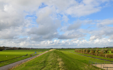 landscape with road