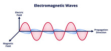 Vector Scientific Illustration Of Electromagnetic Wave Consisting Of Electric And Magnetic Fields And Propagation Isolated On A White Background. Wavelength, Amplitude, Frequency. Radio Waves, Light.