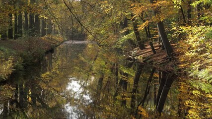 Wall Mural - Autumn forest water reflections in lake