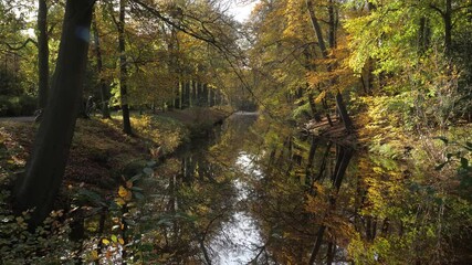 Wall Mural - Autumn forest water reflections in lake