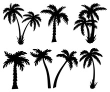 Palm. Vector Illustration. Silhouette