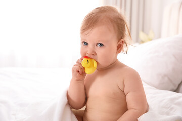 Sticker - Cute little baby nibbling toy on bed after bath