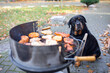 Hund Haustier Rottweiler sitzt hoffungsvoll am Grill
