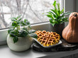 Cozy home still life - indoor flowers, pumpkin waffles, pumpkin on the windowsill