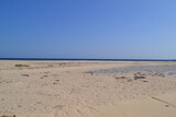 Fototapeta Morze - sand beach