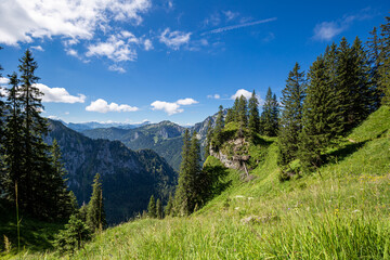 Wall Mural - In den Ammergauer Alpen