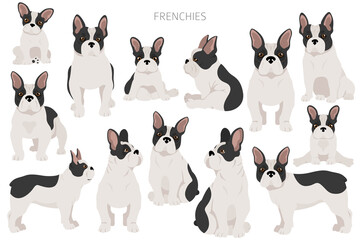 French bulldogs in different poses. Adult and puppy set