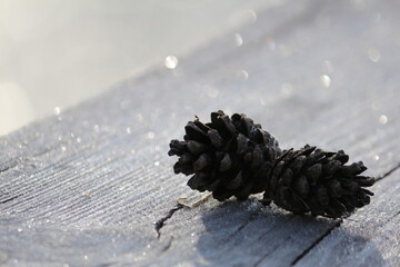 Wall Mural - Pine cones on a wooden board covered with white silvery hoarfrost in sunlight. Winter festive natural background. Christmas. New Year. Composition of pine cones on a silver background. Horizontal.