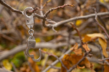 iron handcuffs hang on a tree branch in the street in the autumn afternoon close up