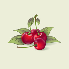 Wall Mural - Ripe cherries on a light background. Ripe fruits and leaves illustration. Organic farm products. Illustration can used for packaging, posters, decoration.