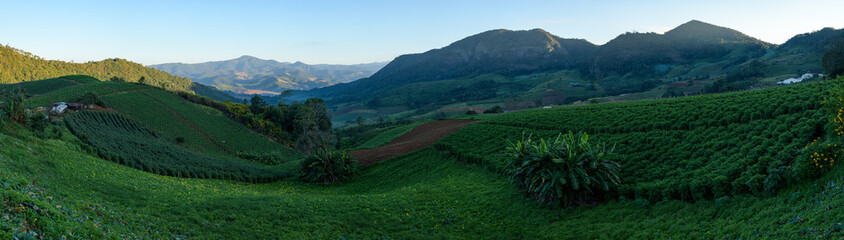 Wall Mural - panoramic beautiful mountains in forest at thailand.