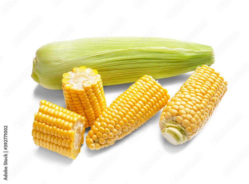 Fresh corn cobs on white background