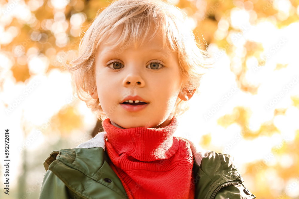 Cute little boy in autumn park