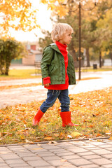 Wall Mural - Cute little boy in autumn park