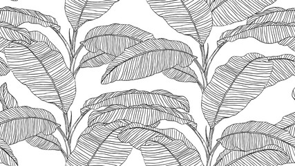 Poster - Botanical seamless pattern, hand drawn line art banana tree on white