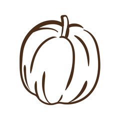 Poster - pumpkin autumn fruit seasonal line style icon